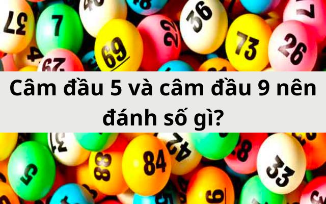 câm đầu 5 và đầu 9 nên đánh con gi