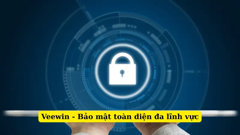 Veewin - Bảo mật toàn diện đa lĩnh vực